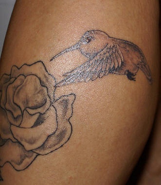 Unfinished hummingbird tattoo
