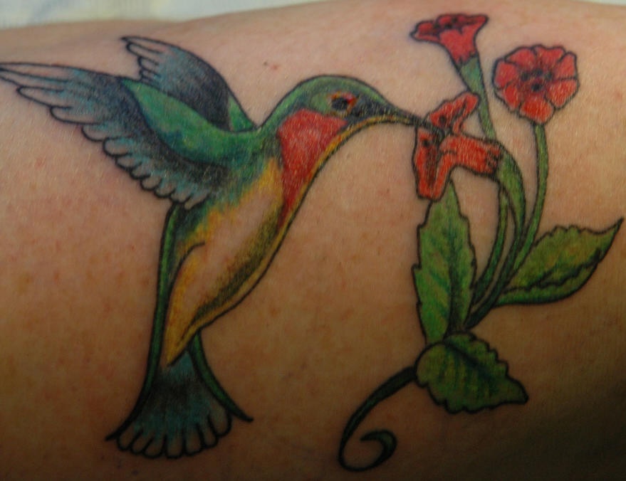 Hummingbird on red flowers tattoo