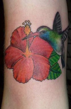 Hummingbird on red flower tattoo