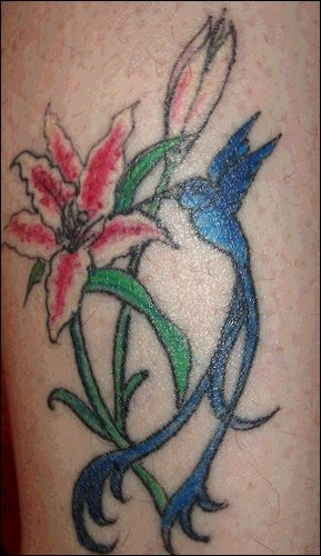 Blue hummingbird with long tail tattoo