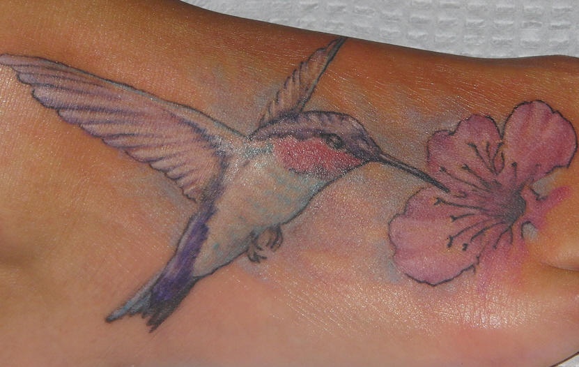 Realistic hummingbird with pink flower