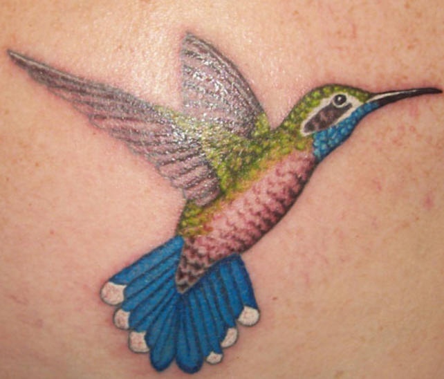 Realistic coloured hummingbird tattoo