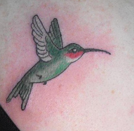 Classic style hummingbird tattoo