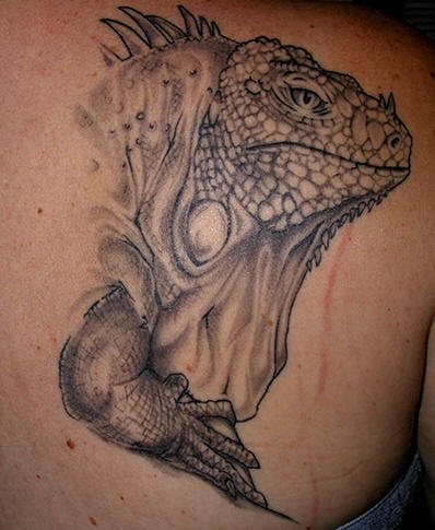 Leguane Reptil Tattoo