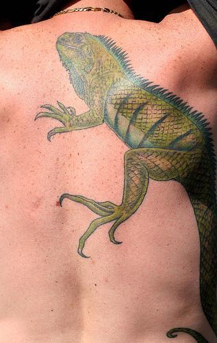El tatuaje de una iguana en color verde en la espalda