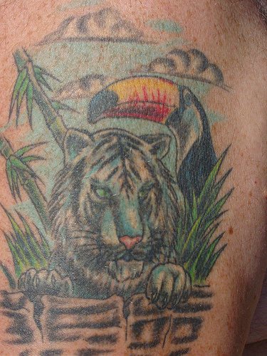 Tatuaje asiático tigre con cacatúa en el bosque