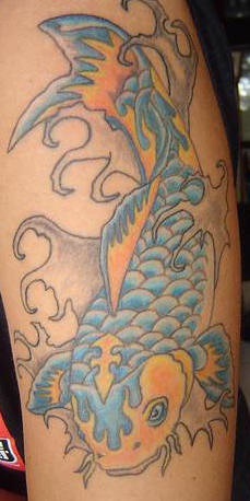 Blue and yellow koi fish tattoo