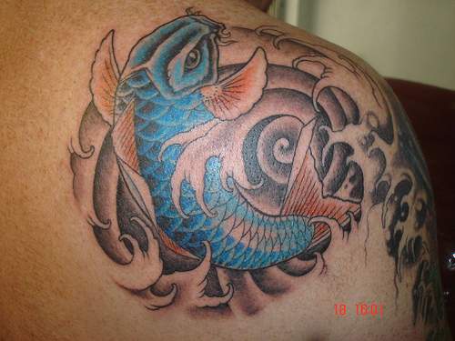 Le tatouage de carpe koї bleu sur l"épaule