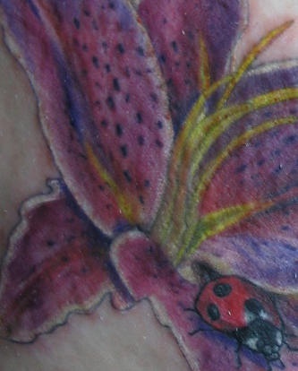 coccinella sul bellissimo fiore colorato tatuaggio