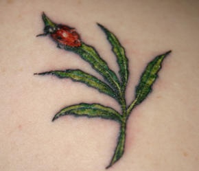 Tatuaje de mariquita pequeña en hoja