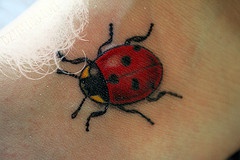 Realistic coloured ladybug tattoo