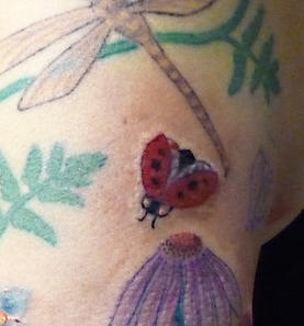 Tatuaje a color de mariquita y libélula