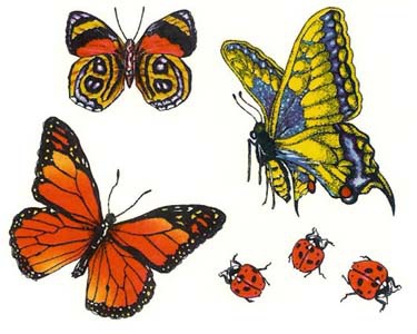 insetti casuali disegno del tatuaggio