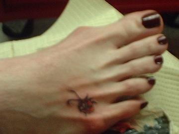 piccola coccinella sul piede di femmina tatuaggio