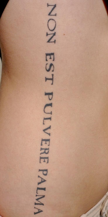 Tatuaje non est pulvere palma