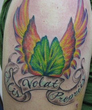 Alis volat propriis winged leaf tattoo