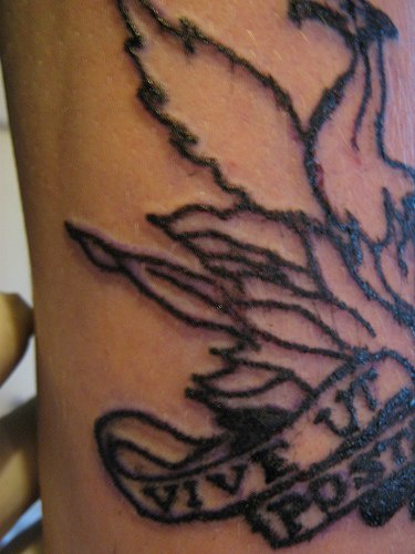Une partie de tatouage avec une inscription Vive ut post