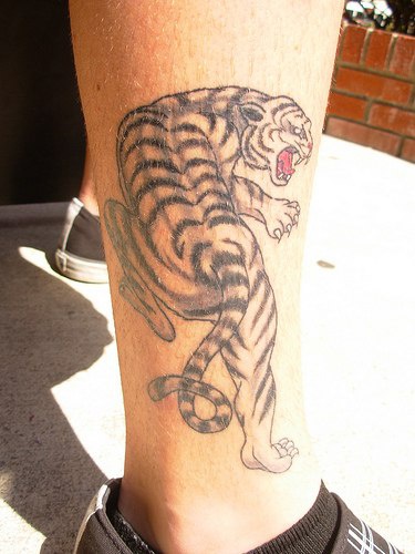 Tatuaje en la pierna, tigre peligroso ruge