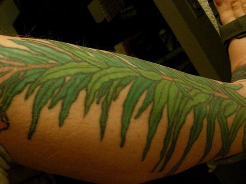Leg tattoo, green thick plant, many leaves