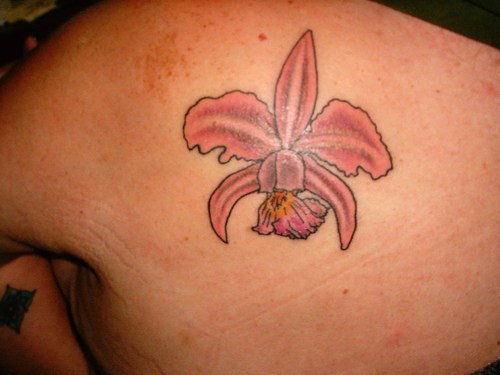 araldico fiore rosa tatuaggio