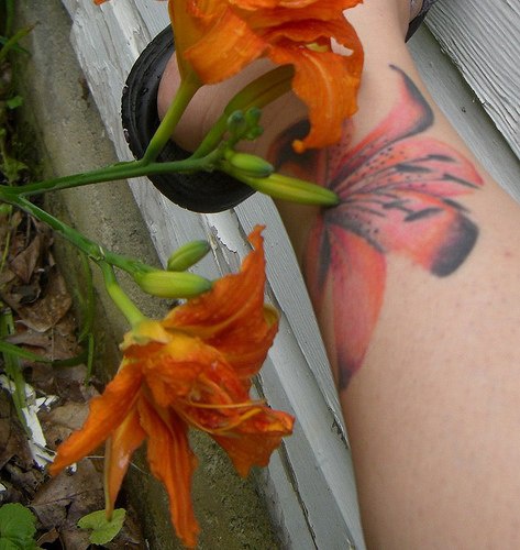El tatuaje de una flor de Lirio con unos reales a un lado