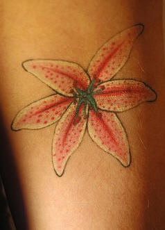 EL tatuaje de un Lirio rosa con puntos rojos en sus petalos y estambres verdes