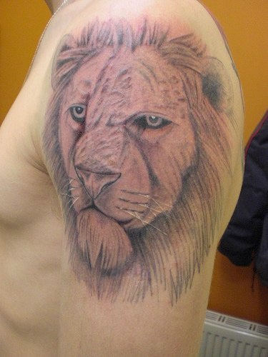 Alter Löwe Tattoo an der Schulter