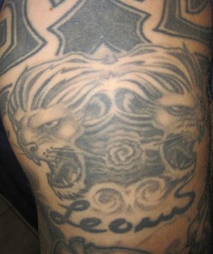 El tatuaje de dos leones simetricos rugiendo en color negro