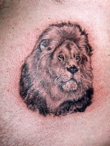 Realistischer Löwenkopf Tattoo in schwarzer Tinte