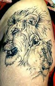 El tatuaje realista detallado de dos leones