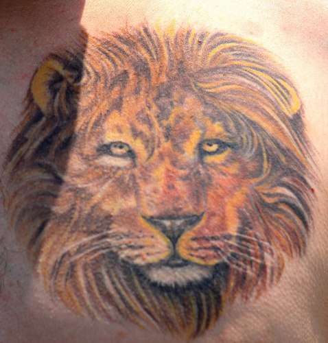 Realistic coloured lion head tattoo