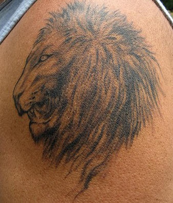 El tatuaje de perfil de la cabeza de un león en negro
