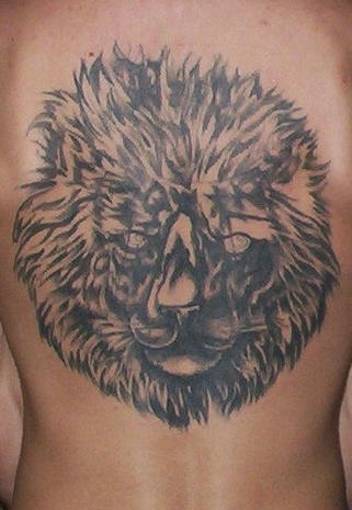 El tatuaje grande de la cabeza de un leon en color negro en la espalda