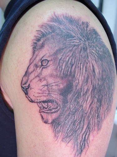 El tatuaje de la cabeza de un león en perfil hecho en el brazo