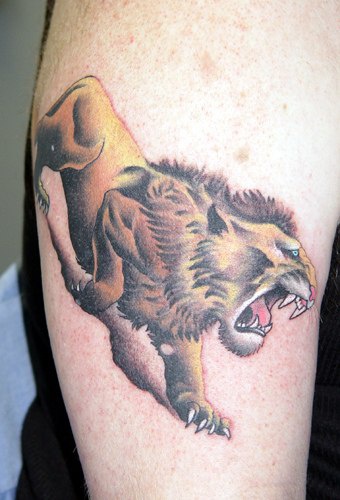 Colourful growling lion tattoo