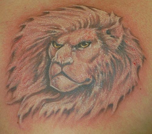 El tatuaje de Leon enojado con una melena grande