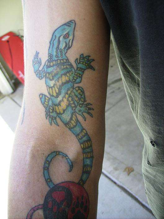 Realistic yellow and blue lizard tattoo