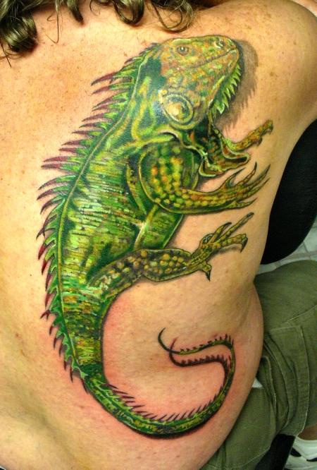 El tatuaje realista de una iguana de color verde en la espalda