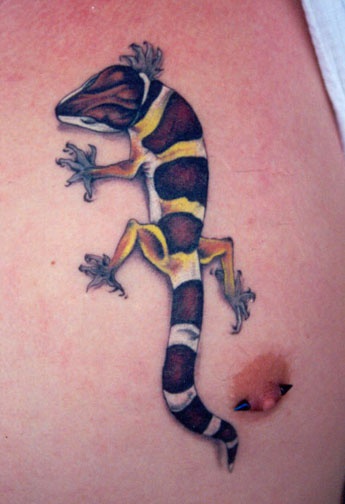 Muy realístico tatuaje de la lagartija en amarillo y marrón