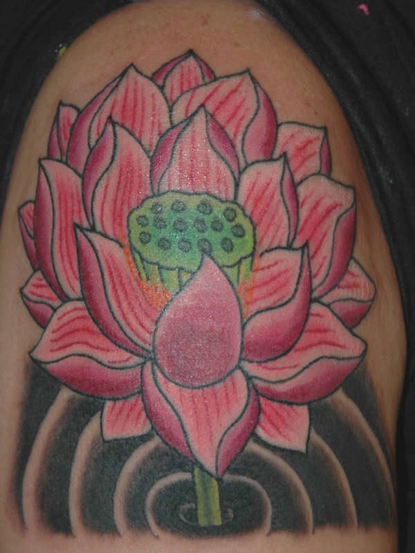 el tatuaje detallado de una flor de loto roja en aguas negras hecho en el hombro