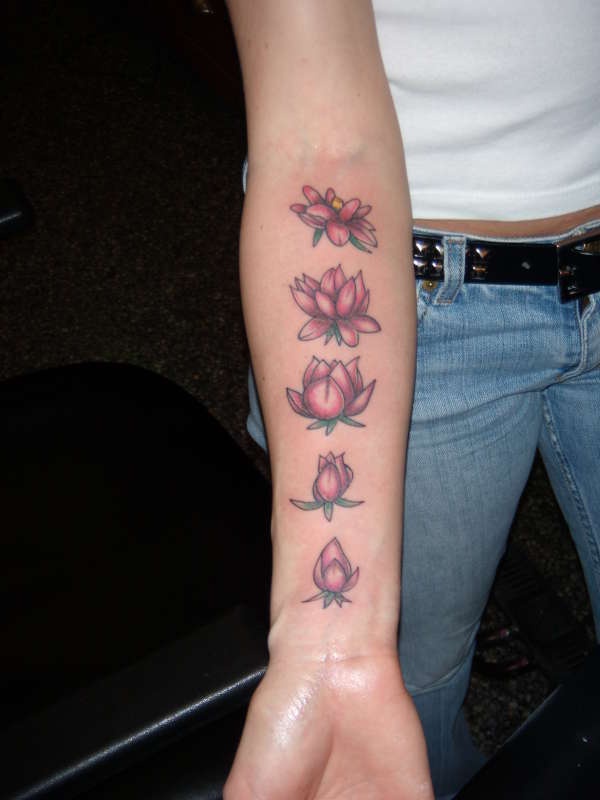 Stadien der Lotusblüte Tattoo am Arm