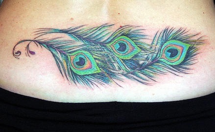 Lower back  tattoo, parti-coloured peacock feathers