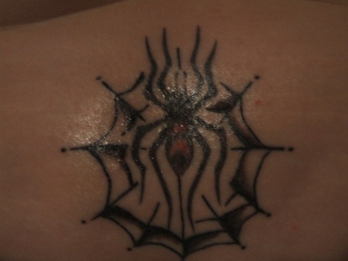 Tatuaggio non colorato sulla lombo il ragno e ragnatela