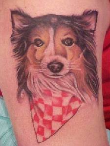 Lassie dog with neckpiece coloured tattoo