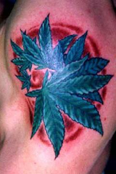 El tatuaje de una hoja de marihuana azul en el fondo de color rojo hecho en el hombro
