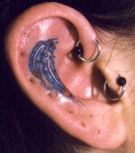 Piume talismano tatuaggio sul orecchio