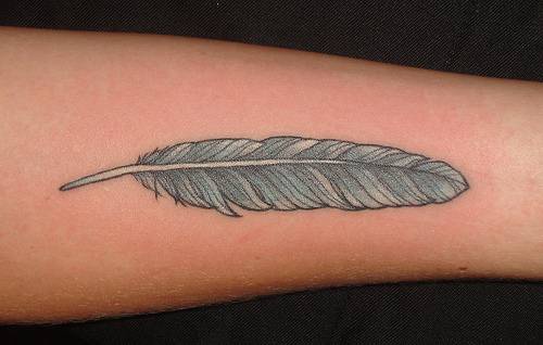 Blue bird feather tattoo