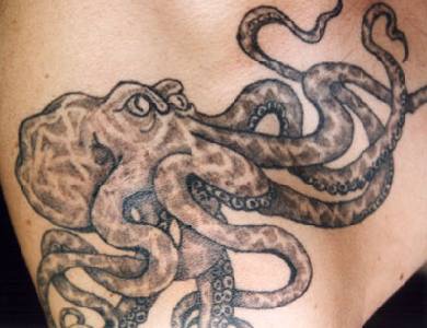 Strict octopus tattoo in dark color
