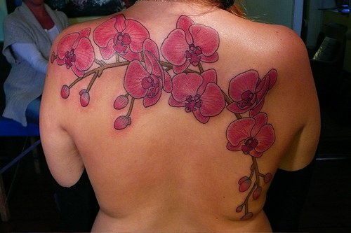 el tatuaje grande femenino de las orquideas rosas en la espalda