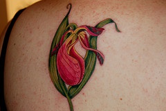 Elegant orchid flower tattoo in colour